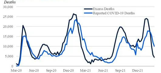 Excess Deaths in USA