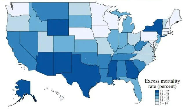 Excess Deaths in USA
