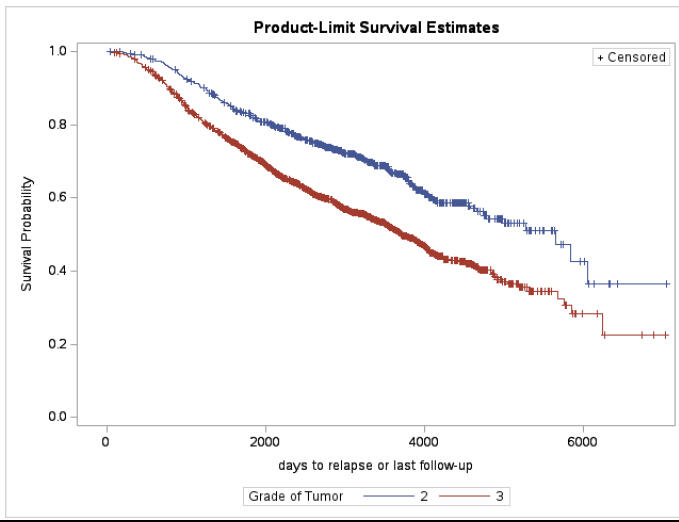 Overall Ranking For The Mortality Rate